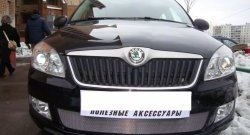 1 539 р. Сетка на бампер (рестайлинг) Russtal (хром)  Skoda Fabia  Mk2 (2007-2010) универсал дорестайлинг, хэтчбэк дорестайлинг  с доставкой в г. Набережные‑Челны. Увеличить фотографию 2