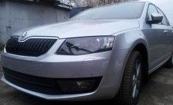 2 569 р. Сетка (для комплектации Ambition, Elegance) на бампер Russtal (черная) Skoda Octavia A7 дорестайлинг лифтбэк (2012-2017)  с доставкой в г. Набережные‑Челны. Увеличить фотографию 2