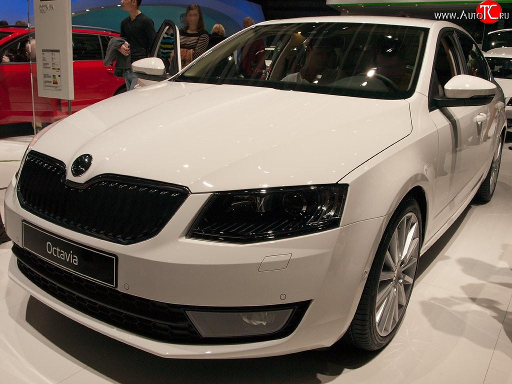 2 569 р. Сетка (для комплектации Ambition, Elegance) на бампер Russtal (черная) Skoda Octavia A7 дорестайлинг лифтбэк (2012-2017)  с доставкой в г. Набережные‑Челны