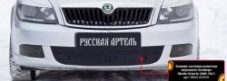 1 059 р. Зимняя заглушка решетки переднего бампера РА  Skoda Octavia  A5 (2008-2013) лифтбэк рестайлинг, рестайлинг универсал  с доставкой в г. Набережные‑Челны. Увеличить фотографию 2