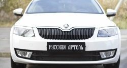 979 р. Зимняя заглушка решетки переднего бампера РА  Skoda Octavia  A7 (2012-2020) дорестайлинг лифтбэк, дорестайлинг универсал, рестайлинг универсал  с доставкой в г. Набережные‑Челны. Увеличить фотографию 2