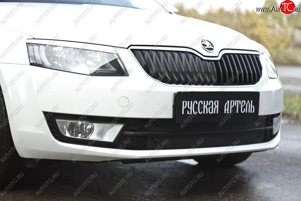 979 р. Зимняя заглушка решетки переднего бампера РА  Skoda Octavia  A7 (2012-2020) дорестайлинг лифтбэк, дорестайлинг универсал, рестайлинг универсал  с доставкой в г. Набережные‑Челны