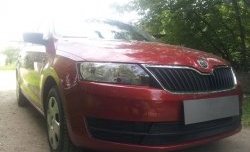 2 339 р. Сетка на бампер Russtal (черная) Skoda Rapid NH3 дорестайлинг лифтбэк (2012-2017)  с доставкой в г. Набережные‑Челны. Увеличить фотографию 3