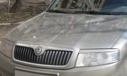 1 649 р. Реснички на фары CT Skoda Superb седан 3U дорестайлинг (2001-2006) (Неокрашенные)  с доставкой в г. Набережные‑Челны. Увеличить фотографию 2