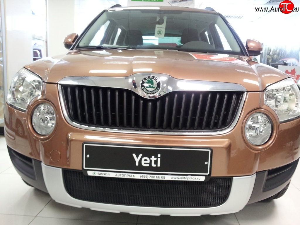 1 469 р. Сетка на бампер Russtal (черная)  Skoda Yeti (2009-2013)  с доставкой в г. Набережные‑Челны