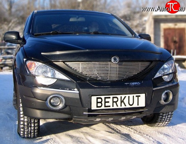 5 999 р. Декоративная вставка решетки радиатора Berkut SSANGYONG Actyon Sport (2006-2011)  с доставкой в г. Набережные‑Челны