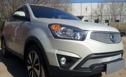 1 539 р. Сетка в решетку радиатора Russtal SSANGYONG Actyon рестайлинг (2013-2021) (хром)  с доставкой в г. Набережные‑Челны. Увеличить фотографию 2