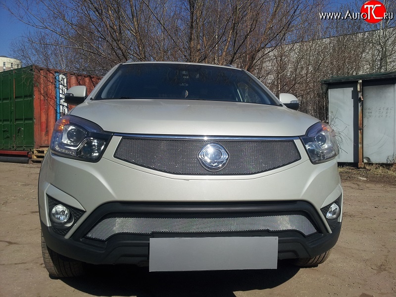 1 539 р. Сетка в решетку радиатора Russtal SSANGYONG Actyon рестайлинг (2013-2021) (хром)  с доставкой в г. Набережные‑Челны