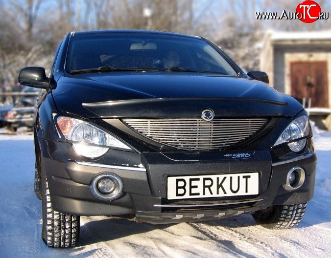 5 999 р. Декоративная вставка решетки радиатора Berkut SSANGYONG Actyon 1 (2006-2010)  с доставкой в г. Набережные‑Челны