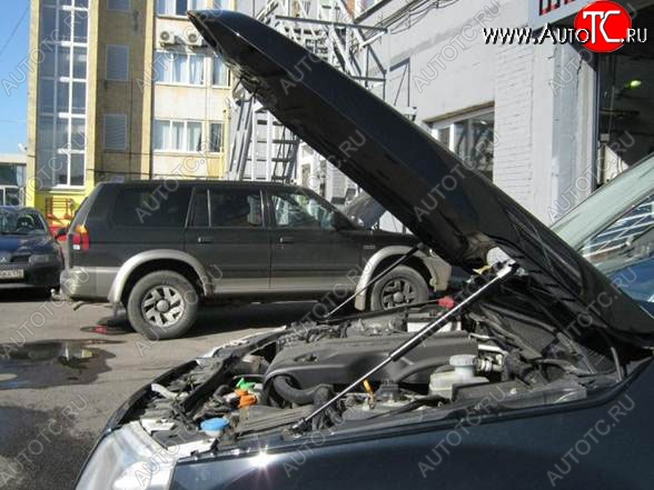 2 199 р. Газовые упоры капота Berkut Suzuki Grand Vitara JT 3 двери дорестайлинг (2005-2008)  с доставкой в г. Набережные‑Челны