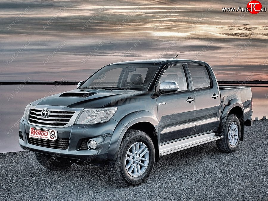 15 299 р. Подножки боковые WINBO OE Style Toyota Hilux AN20,AN30  2-ой рестайлинг (2011-2016)  с доставкой в г. Набережные‑Челны