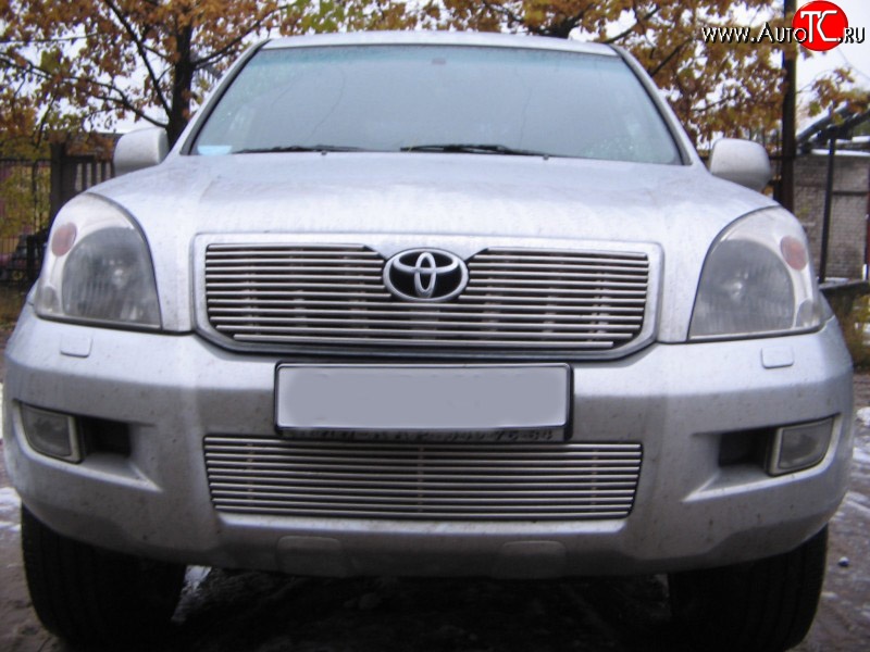 4 399 р. Декоративная вставка воздухозаборника Berkut Toyota Land Cruiser Prado J120 (2002-2009)  с доставкой в г. Набережные‑Челны