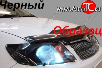 2 079 р. Защита фар (J120-J125) CA-Plastic  Toyota Land Cruiser Prado  J120 (2002-2009) (Classic черный)  с доставкой в г. Набережные‑Челны