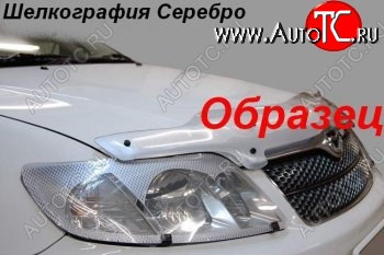 2 299 р. Защита фар (J120-J125) CA-Plastic  Toyota Land Cruiser Prado  J120 (2002-2009) (Шелкография серебро)  с доставкой в г. Набережные‑Челны