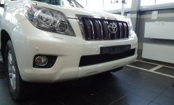 Сетка на бампер Russtal (черная) Toyota (Тойота) Land Cruiser Prado (Лэнд)  J150 (2009-2013) J150 дорестайлинг