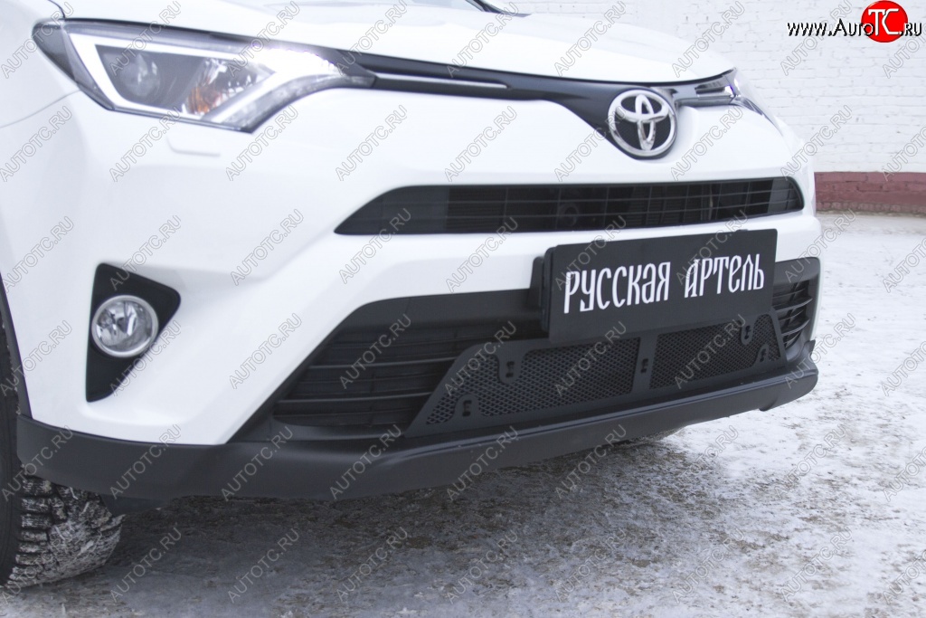 1 939 р. Защитная сетка решетки переднего бампера РА  Toyota RAV4  XA40 (2015-2019) 5 дв. рестайлинг  с доставкой в г. Набережные‑Челны