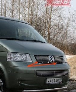 Декоративные элементы решетки радиатора Souz-96 (d10) Volkswagen Transporter T5 дорестайлинг (2003-2009)