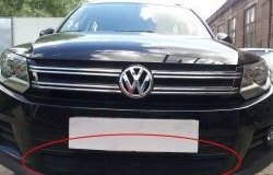 Защитная решётка в воздуховод автомобиля Russtal (черная) Volkswagen (Волксваген) Tiguan (Тигуан)  Mk2 (2016-2020) Mk2 дорестайлинг